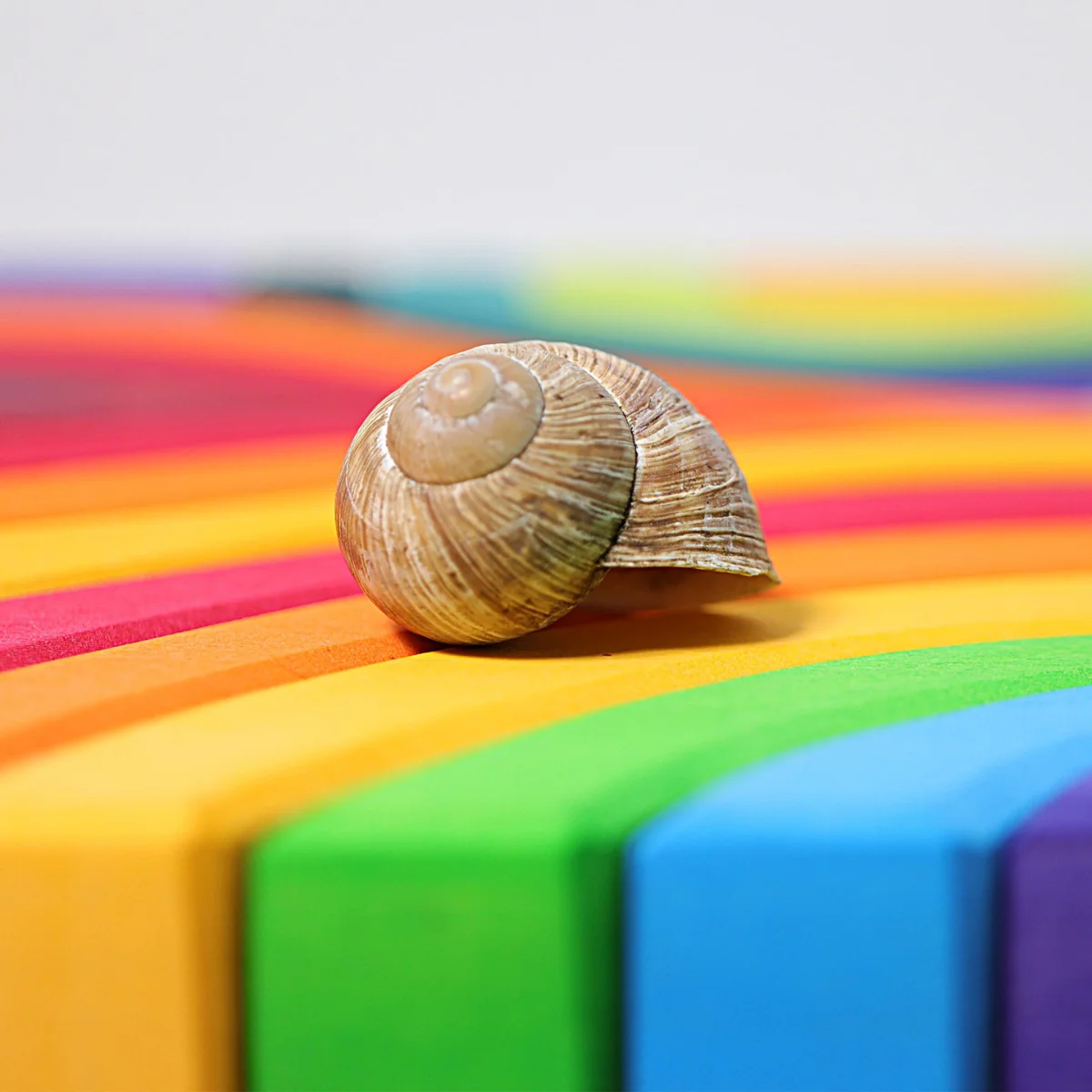 Grimm's Building Set Large 4 Elements - Image 6