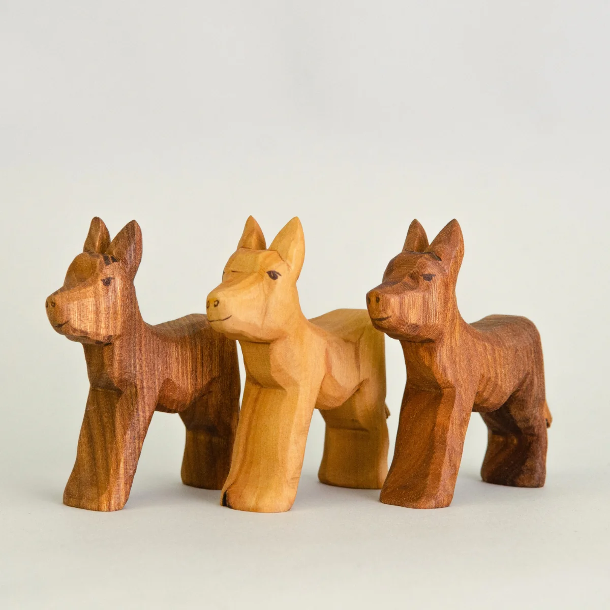 Predan Calf - Image 3