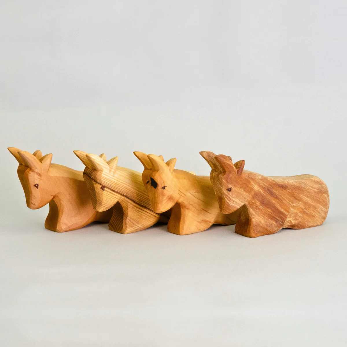 Predan Cow Laying - Image 3