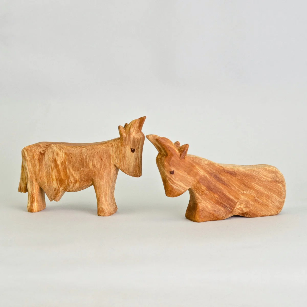 Predan Cow Laying - Image 4