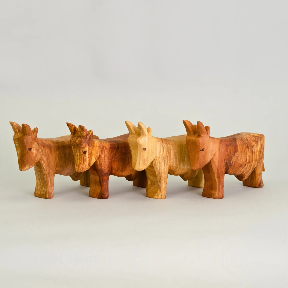 Predan Cow Standing - Image 3