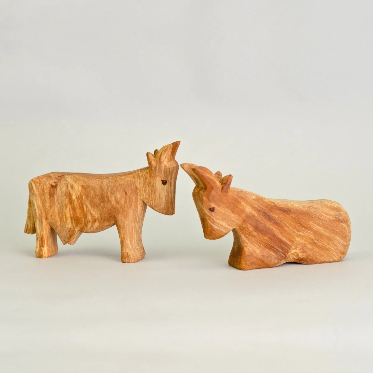 Predan Cow Standing - Image 4