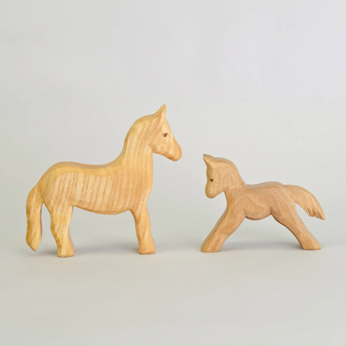 Predan Foal - Image 4