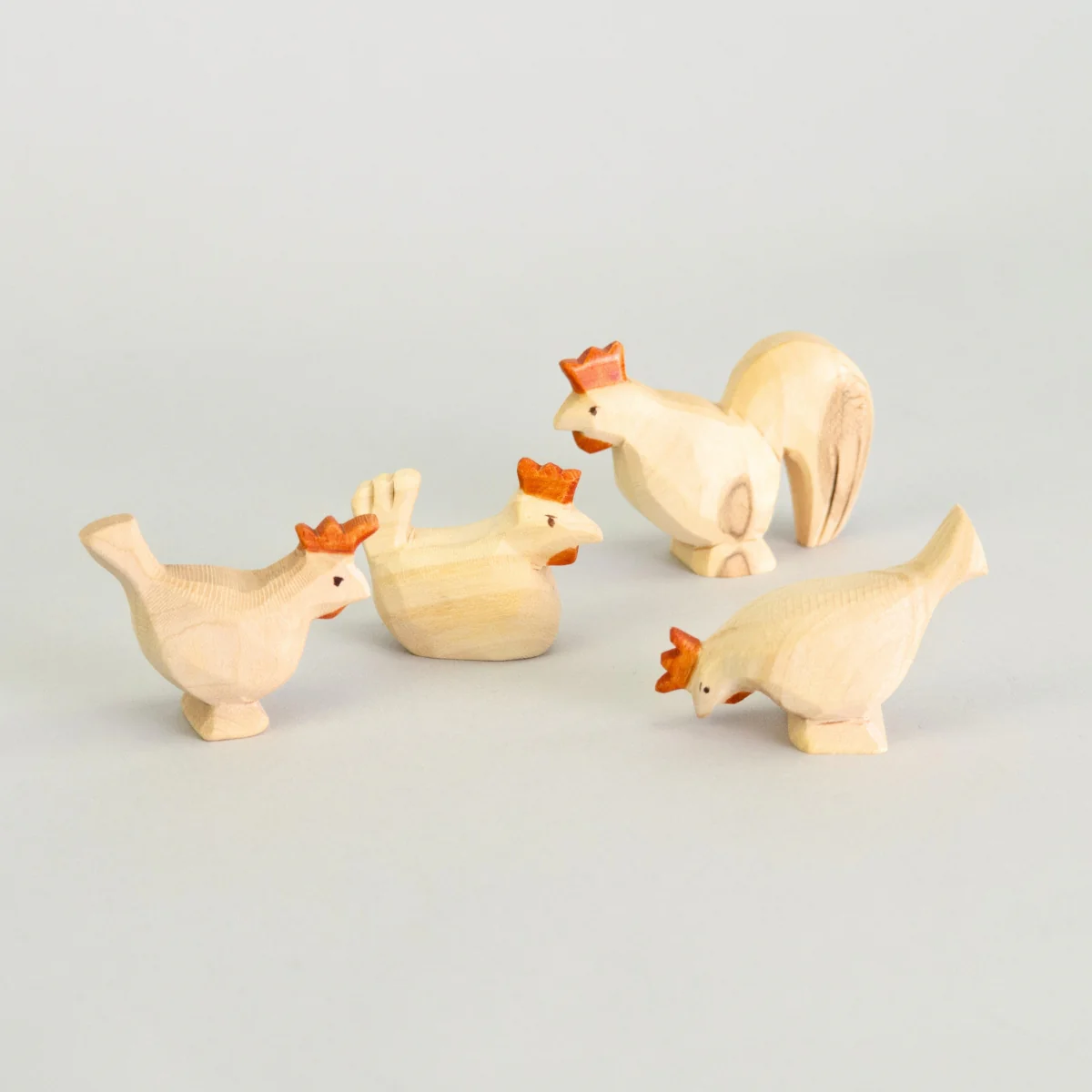 Predan Rooster - Image 4