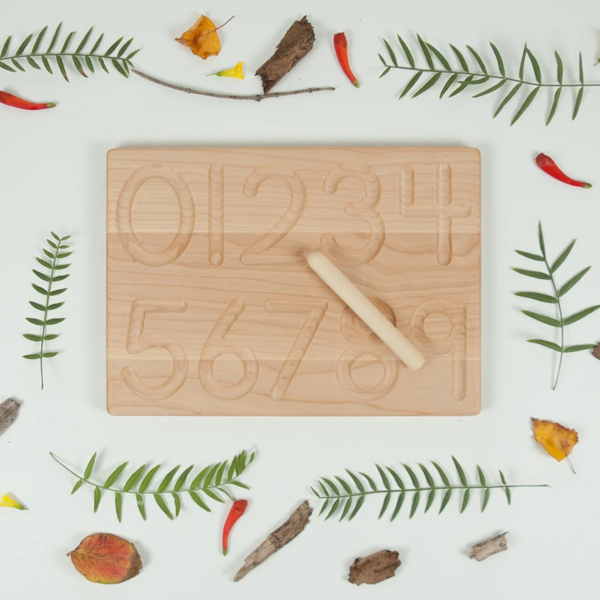 From Jennifer Reversible 1-10 Tracing and Number Counting Board - Image 8