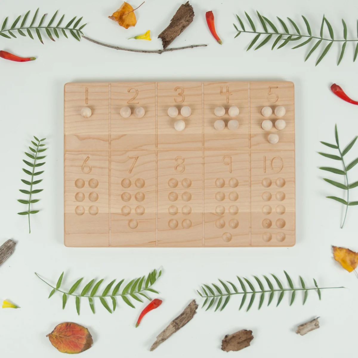 From Jennifer Reversible 1-10 Tracing and Number Counting Board - Image 9