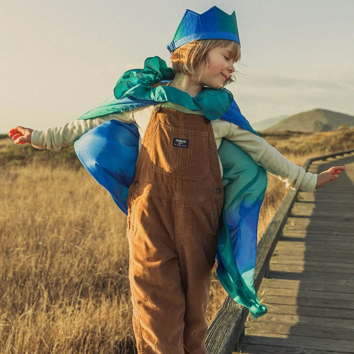 Sarah's Silks Capes - Image 14