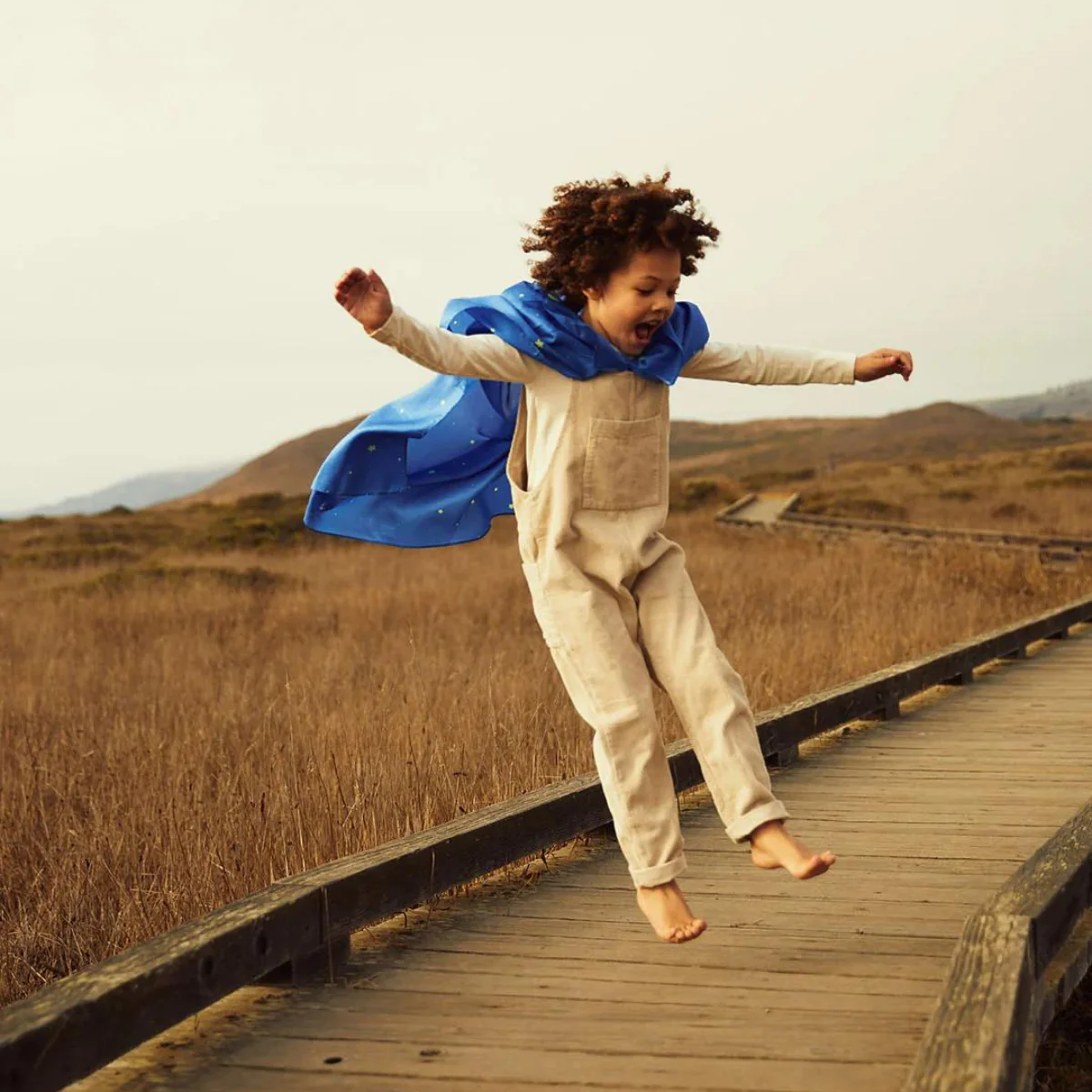 Sarah's Silks Capes - Image 8