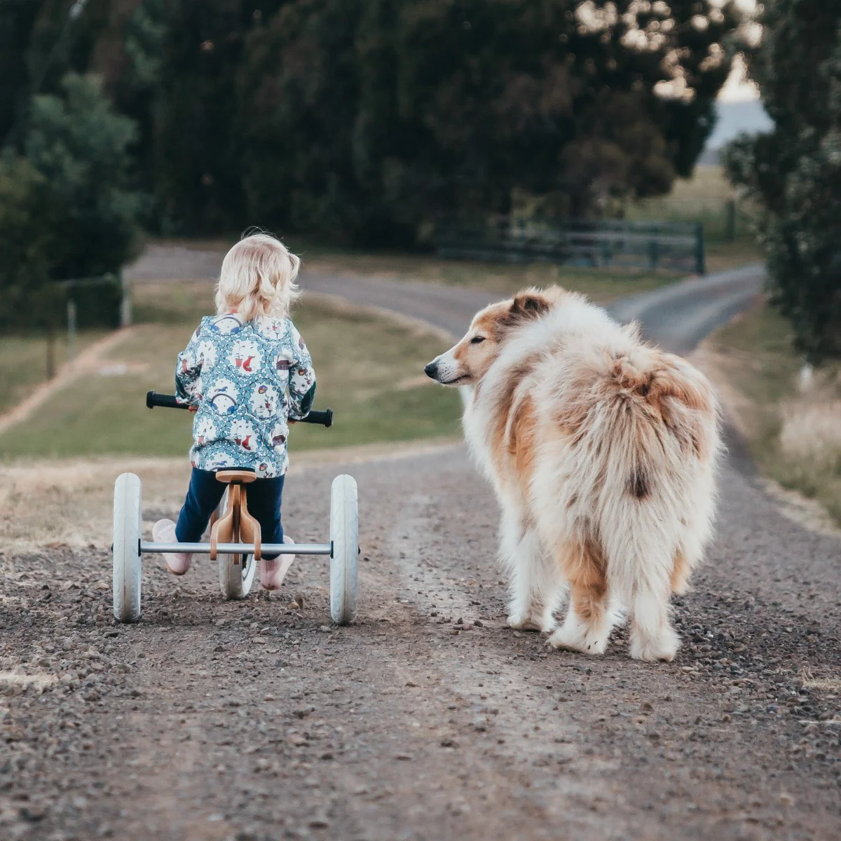 Wishbone Wooden Balance Bike & Tricycle 3 in 1 - Natural Birch - Image 11
