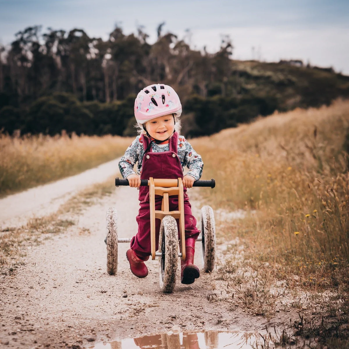 Wishbone Wooden Balance Bike & Tricycle 3 in 1 - Natural Birch - Image 7