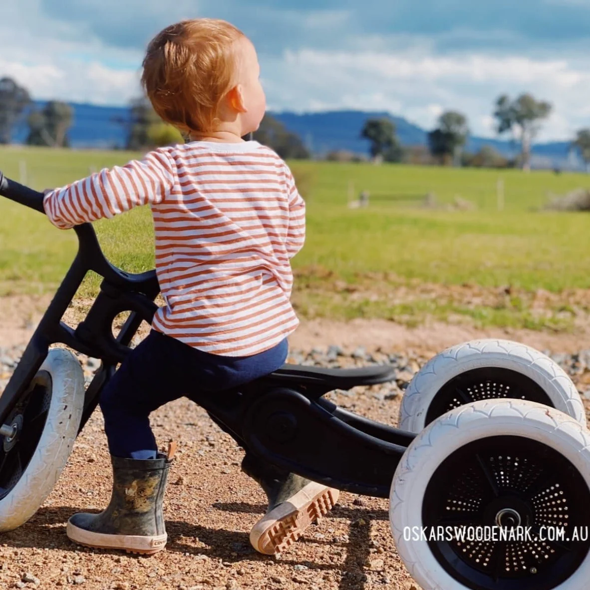 Wishbone Balance Bike & Tricycle 3 in 1 - RE2 Recycled, Durable Plastic - Image 23